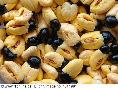 معرفی و راهنمای پرورش درختان میوه - آکی